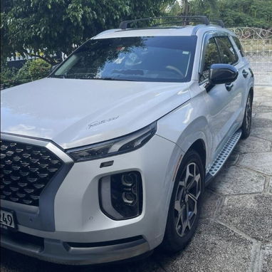 Hyunday Palisade caligraphe 2021, al detalle - Img 122256391
