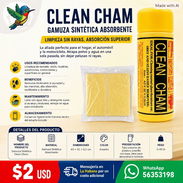 GAMUZA SINTÉTICA CLEAN CHAM - Img 57791296