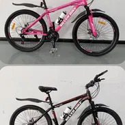 Bici29 - Img 58465134