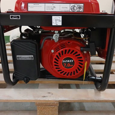 PLANTA ELÉCTRICA DE GASOLINA / GAS 3000W SANKEY - Img 118358701