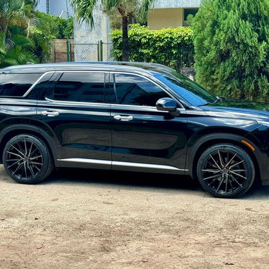 Hyundai Palisade Calligraphy 2022 - 4/10