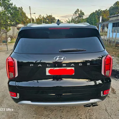 Vendo o negocio Hyundai Palisades 2020 caligrafhy - Img 111143591
