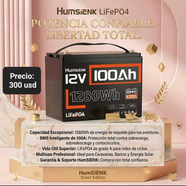Baterías de 12v, 12.8v, 24v y 25.6v de 100ah y 200ah, variedad de modelos (para inversores y sistemas solares) - 3/10