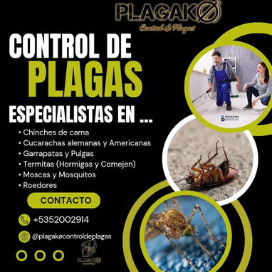 Servicio de fumigación y exterminio de plagas - Img 109932546