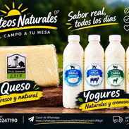 🧀 QUESO FRESCO 🐄 - Img 57418910