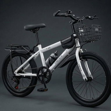 Bicicleta   pcfg - 2/3