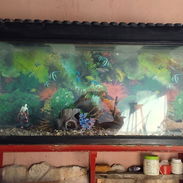 Vendo pescera de 1.20 metros - Img 55226300