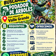 Únase a nuestra bolsa de empleo - Img 57771686
