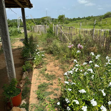 VENTA DE CASA CON TERRENO - 3/9