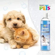 Shampo para cachorros y gatitos - Img 57679475