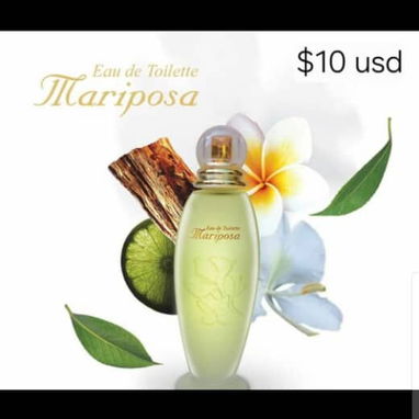 Perfumes Suchel Camacho - 4/4