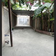 Casa estilo loft , 250$ por mes ,con garaje . 78830211 leonor - Img 56340212