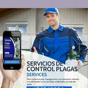 Fumigador - profesionalidad y garantía - Img 56314810