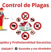 Fumigación Profesional! - Img 50607427