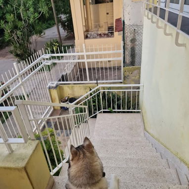 Casa independiente de 3 pisos en Lawton - 2/10
