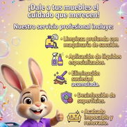 ​✨ ¡Tus muebles como nuevos! Servicio profesional de limpieza profunda con maquinaria especializada. ¡Reserva hoy! 🛋️ - Img 56747284