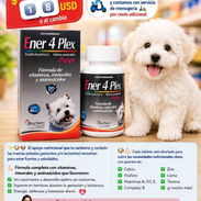 Ener 4 Plex Puppy (vitaminas para cachorros y perras embarazadas) - Img 55305692