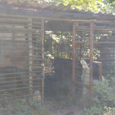 Venta de finca en jaruco mayabeque  pago en euros - 8/8