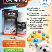 Ener 4 Plex Puppy – 60 Tabletas multivi para perros cachorros - Img 51619395