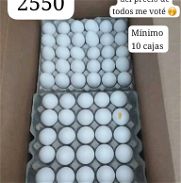 Venta de huevos - Img 45846328