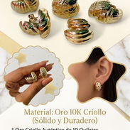 maravilla en prendas de oro 10k criollo esto y mucho más escríbeme 52 812401 - Img 56710793