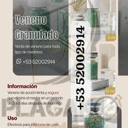 Veneno Quimirat en Dosis para Ratones - Img 54783164