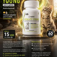 Multivitaminas con omegas para gatos y gaticos - Img 56265520