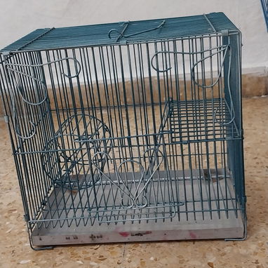 Jaulas para hamster. Jaulas para curiel - 2/3