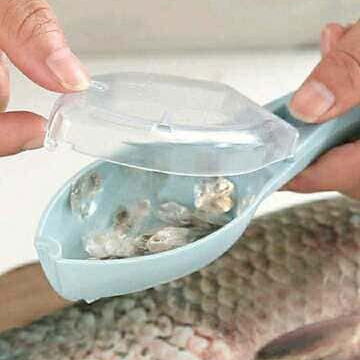 Descamadora Manual para Pescado 💰 6 USD Haz la limpieza del pescado más rápida y cómoda. - 2/2