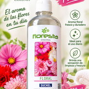 Colonia Floresta suchel floral - Img 57768400