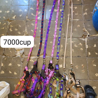 Correas para tus mascotas diferentes tallas y tipos - Img 125190374