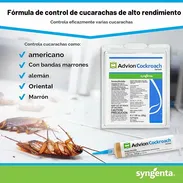 Veneno cucarachas - Img 57515536