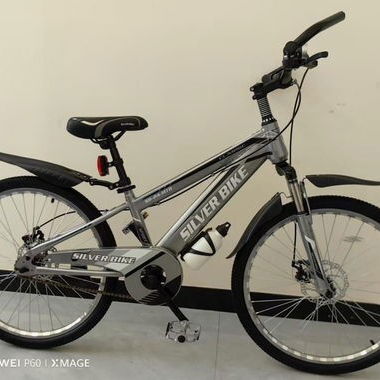 Bicicletas de 26 - Img 121053086