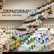 Tienda para perros y gatos. DermoBrav, pienso, vitaminas, suplementos, Antibióticos, colirios, Bravecto, simparica - Img 50219491