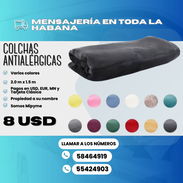 🛏️COLCHAS ANTIALÉRGICAS  💲8 USD ✅ VARIOS COLORES - Img 52266142
