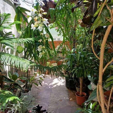 Permuto 2 apartamento - 5/10