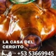 Exquisita comida criolla - Img 45484630