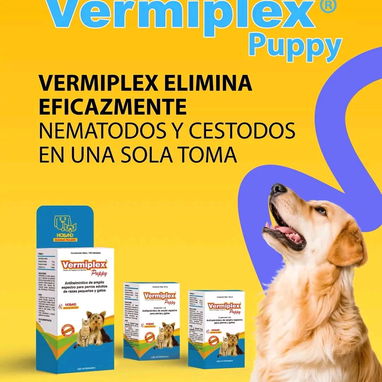 VermiPlex Puppy (antiparasitario interno en suspensión oral) - 3/3