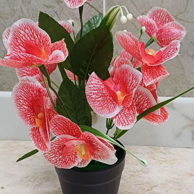 🧧Maceta con orquídeas💫 📏30cm /12 usd🧧 - 3/4