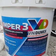Pintura imp - Img 55371003