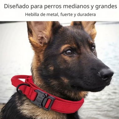 Collares tácticos para Mascotas - 3/3