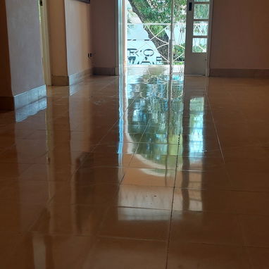 Pulidores de piso profesionales - Img 127902645