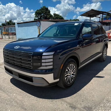 Hyundai palisade - 5/5