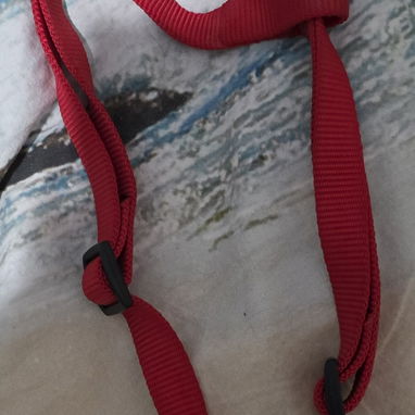Arneses y collares para perros - Img 121201211
