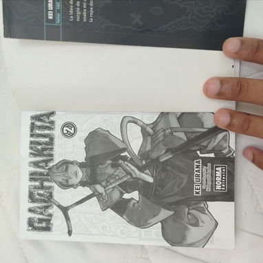 Venta de mangas - Img 126335347
