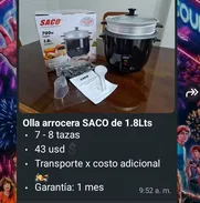 Arroceras - Img 50088605