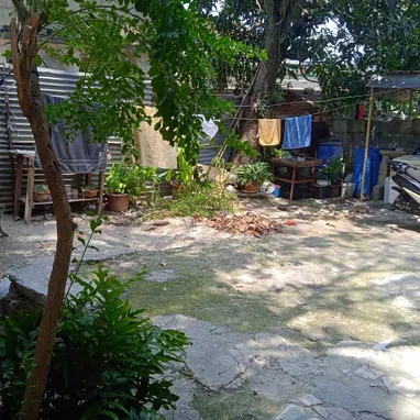 Se venden dos casas en una sola propiedad - Img 122225935