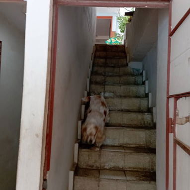 Vendo casa en el Cerro no se va la luz - 2/10