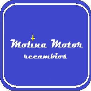Neumaticos de Segunda Mano en Molina Motor Recambios/ precios bajos - 5/5