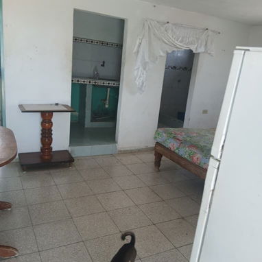 Casa (con apartamento independiente) - Img 125280611
